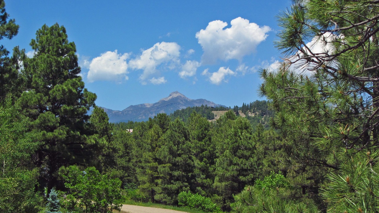 Photo of Others in Pagosa Springs
