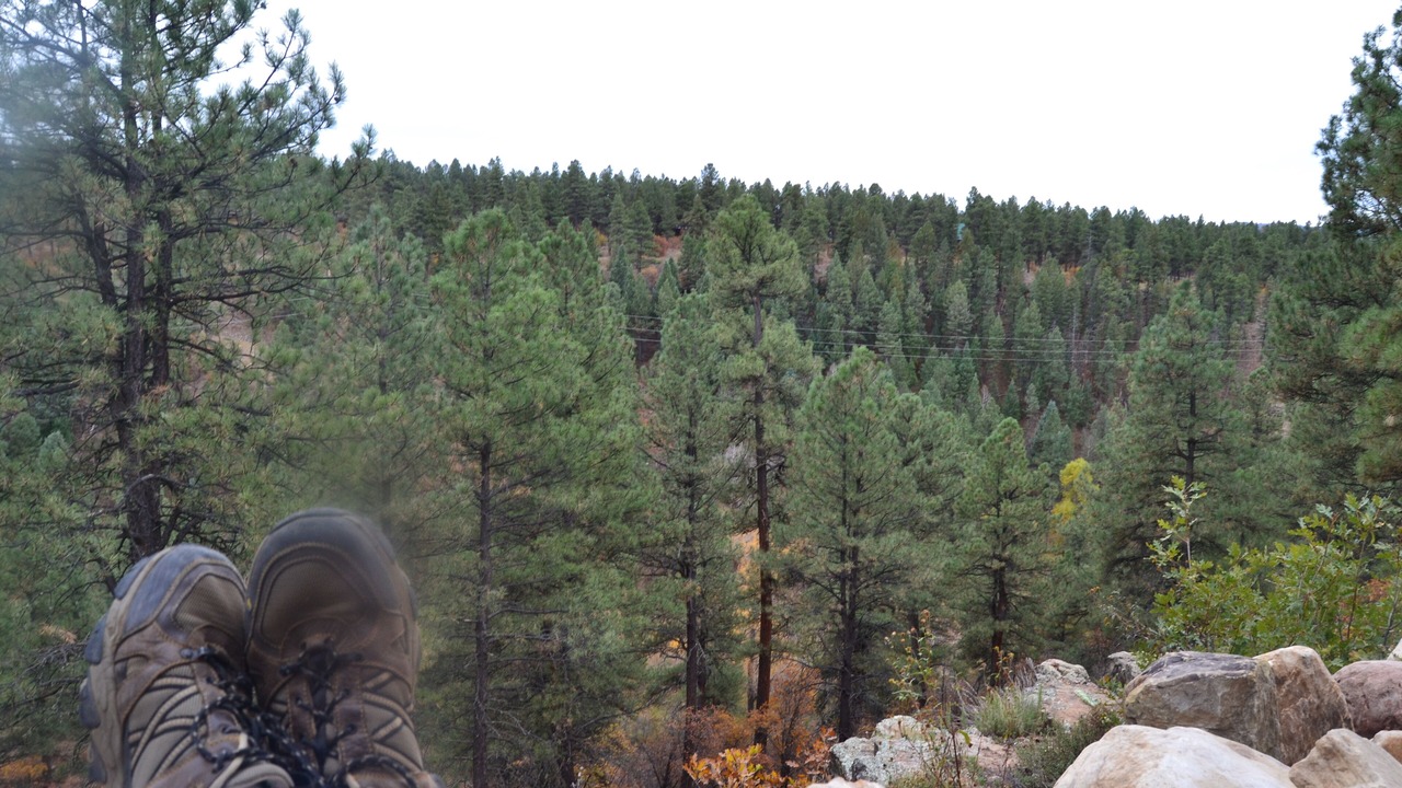 Photo of Others in Pagosa Springs
