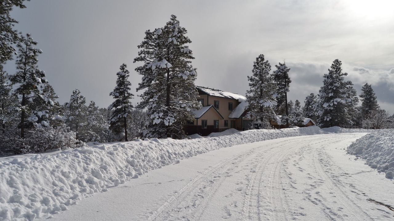 Photo of Others in Pagosa Springs
