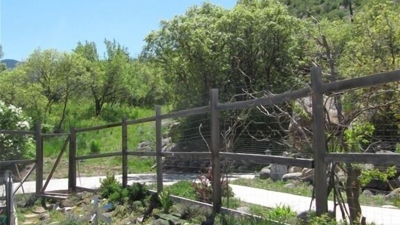 Photo of Others in Glenwood Springs