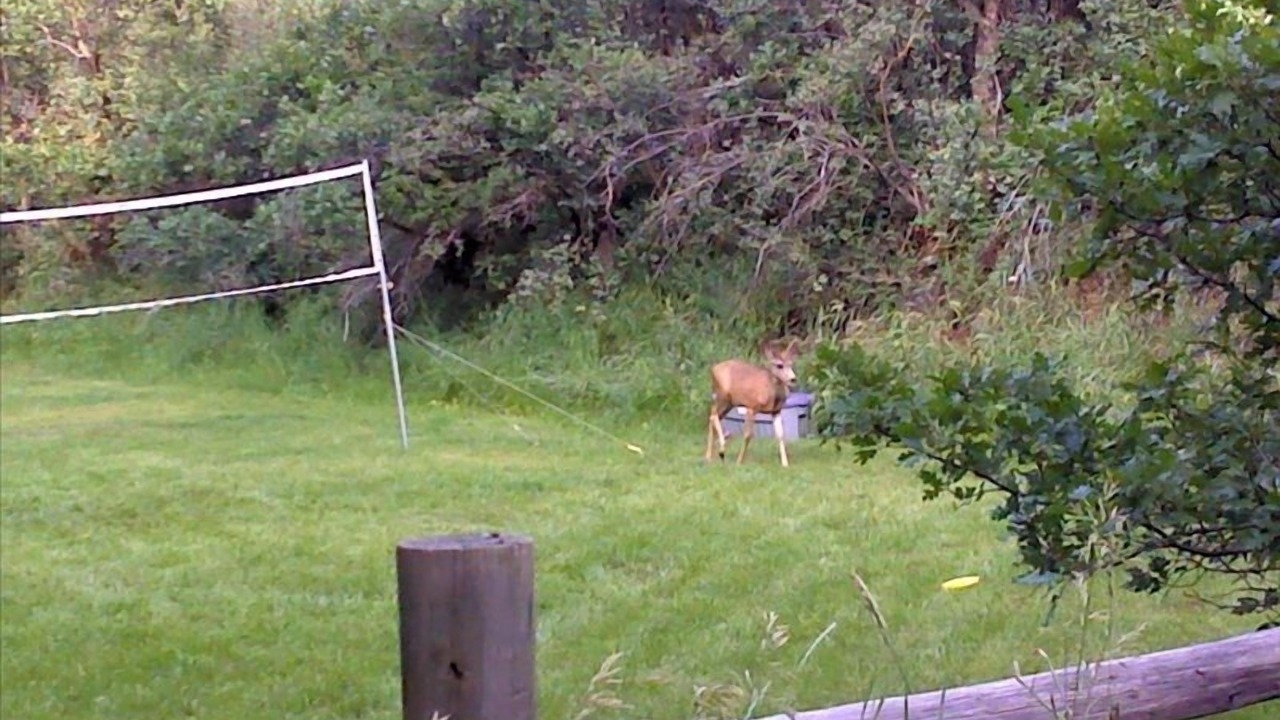 Photo of Others in Glenwood Springs