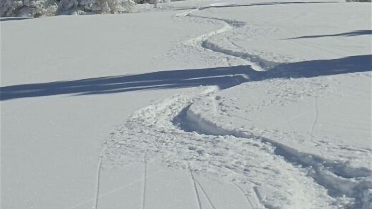 Photo of Others in Vail