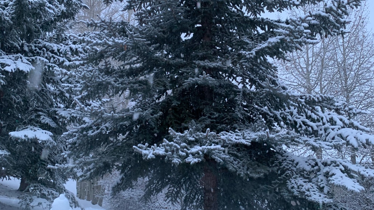 Photo of Others in Eagle-Vail