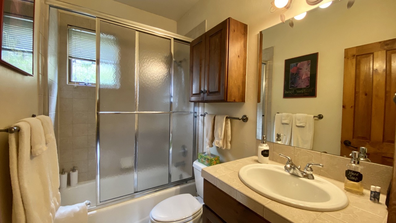 Photo of Bathroom in Crested Butte