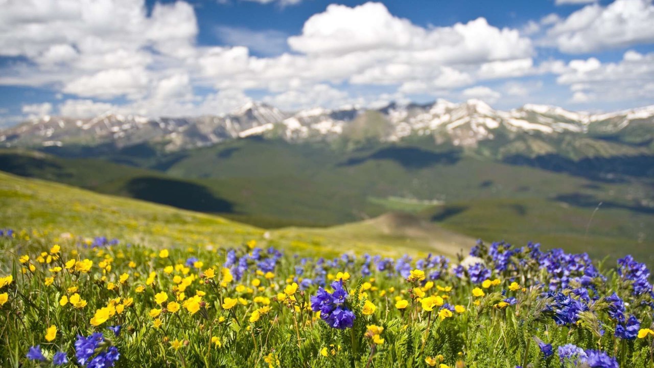 Photo of Others in Breckenridge Heights