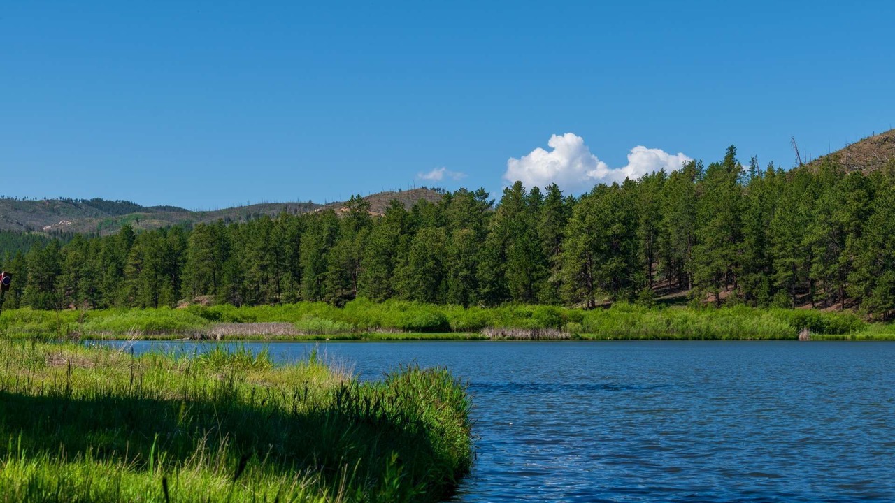 Photo of Outdoor in Westcreek