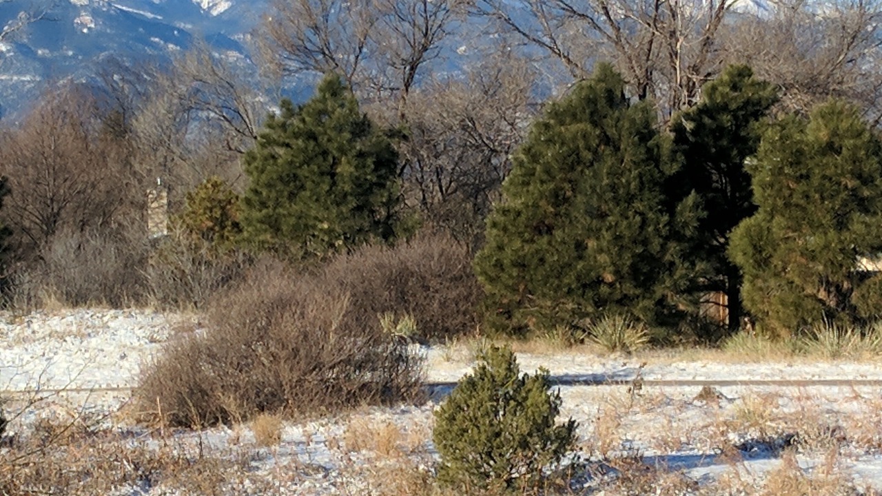 Photo of Outdoor in Village Seven