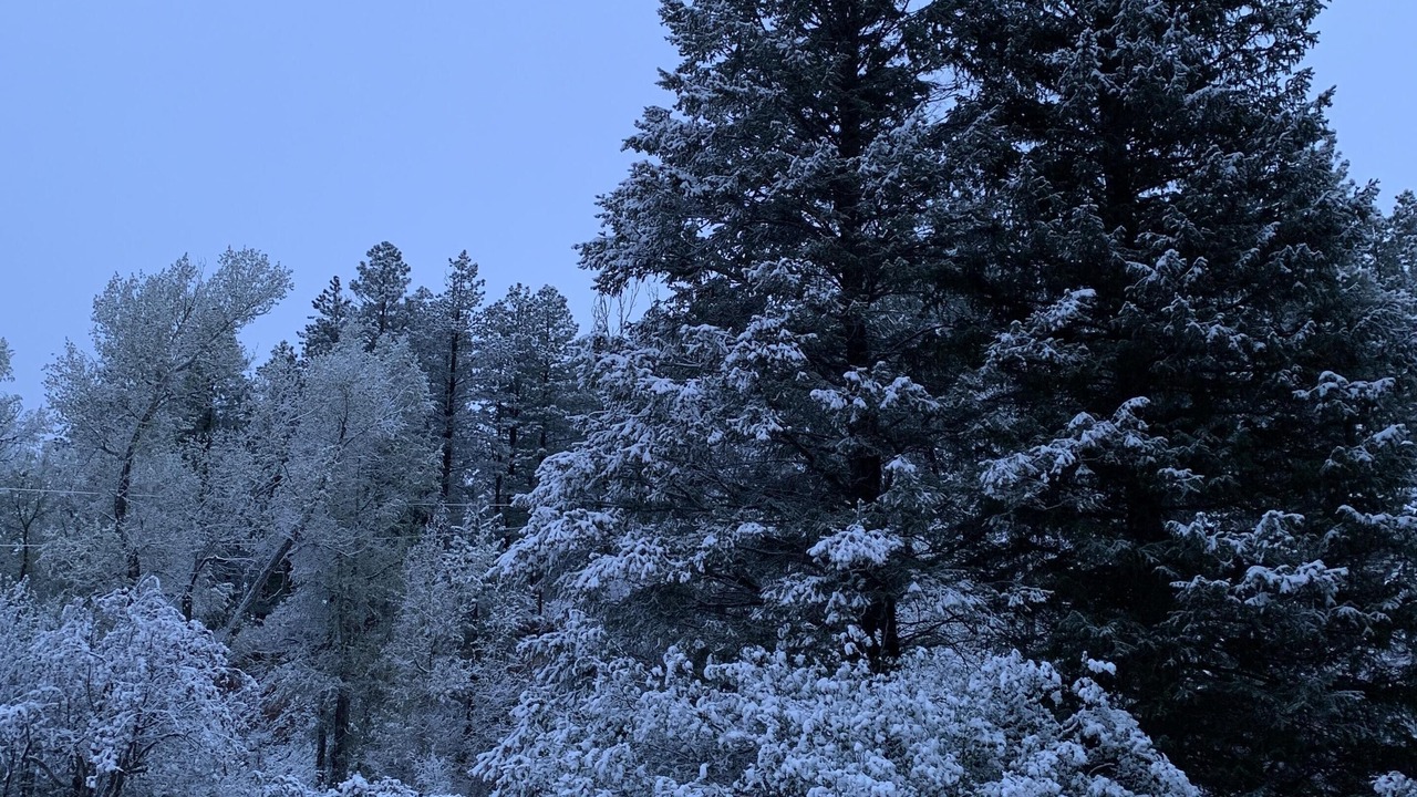 Photo of Others in Durango - Purgatory