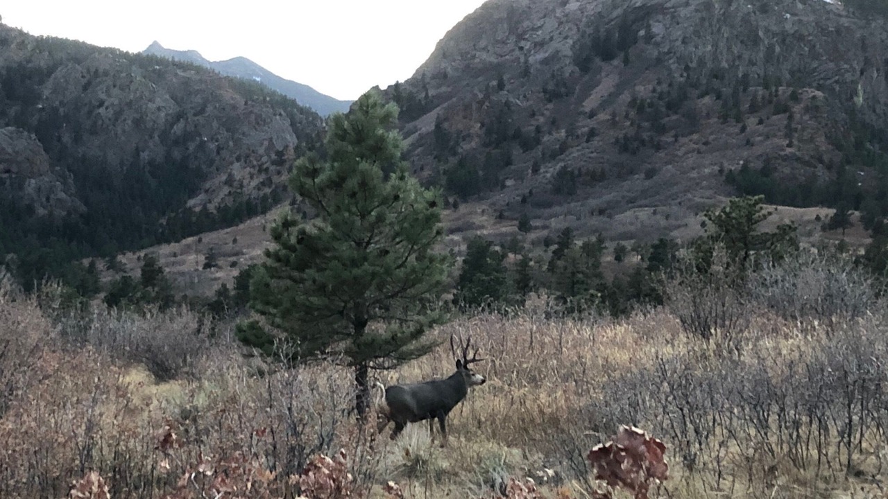 Photo of Others in Cheyenne Canyon