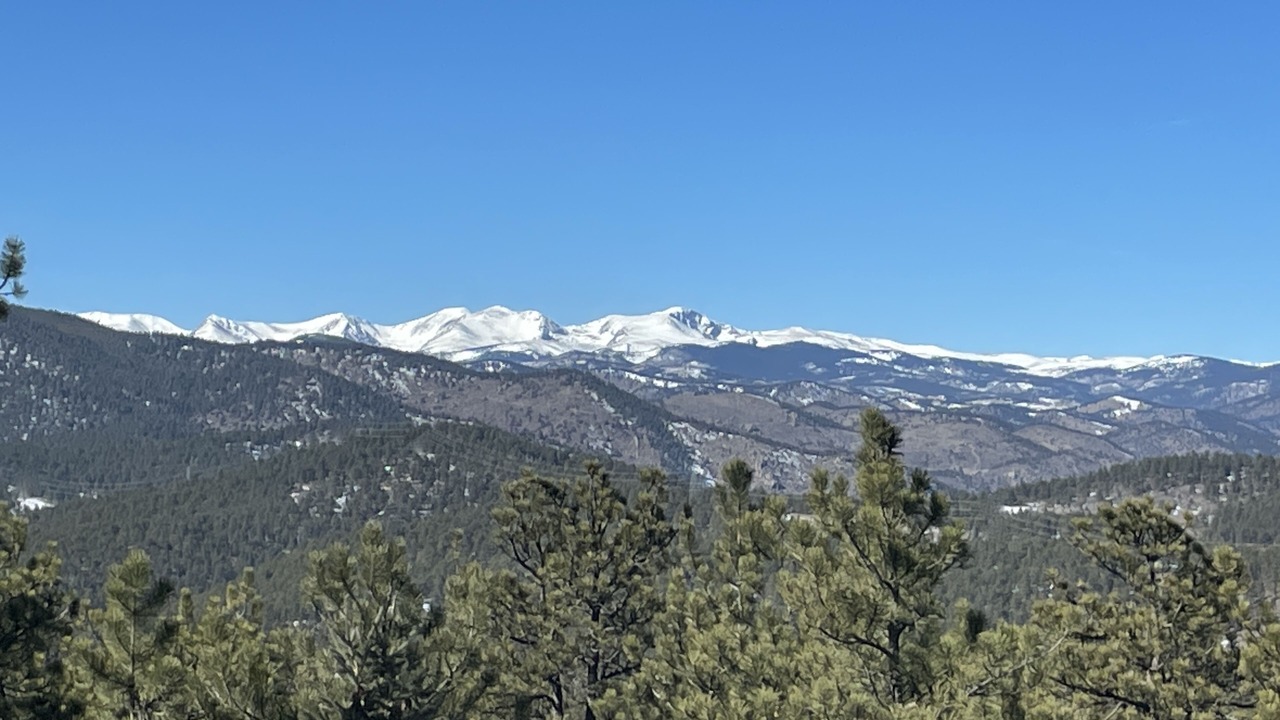 Photo of Others in North Central Evergreen