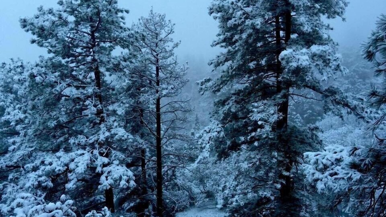 Photo of Outdoor in Southwest Colorado Springs