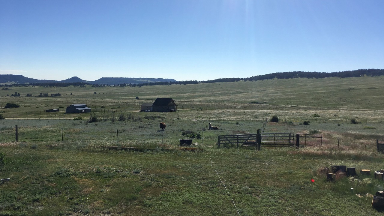 Photo of Others in Peyton