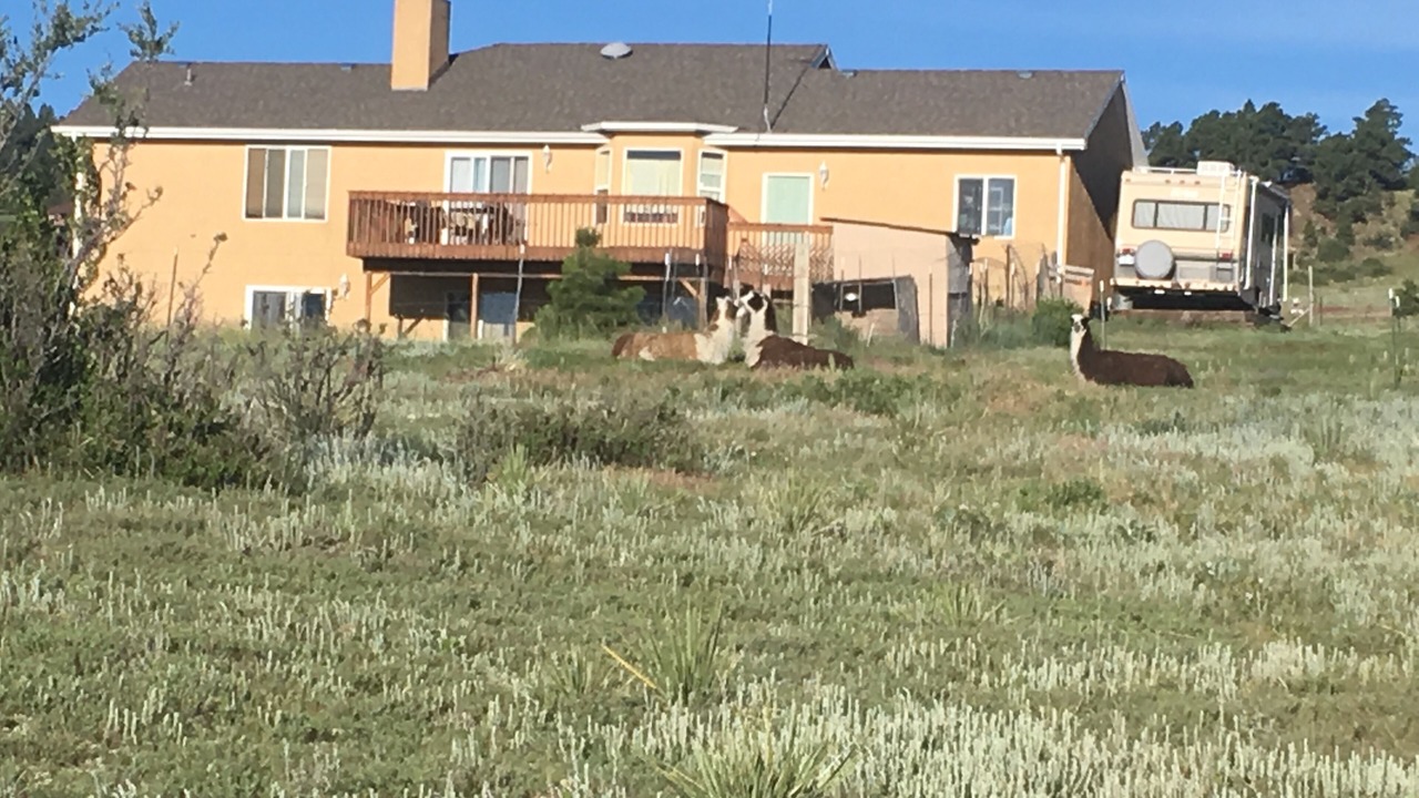 Photo of Outdoor in Peyton