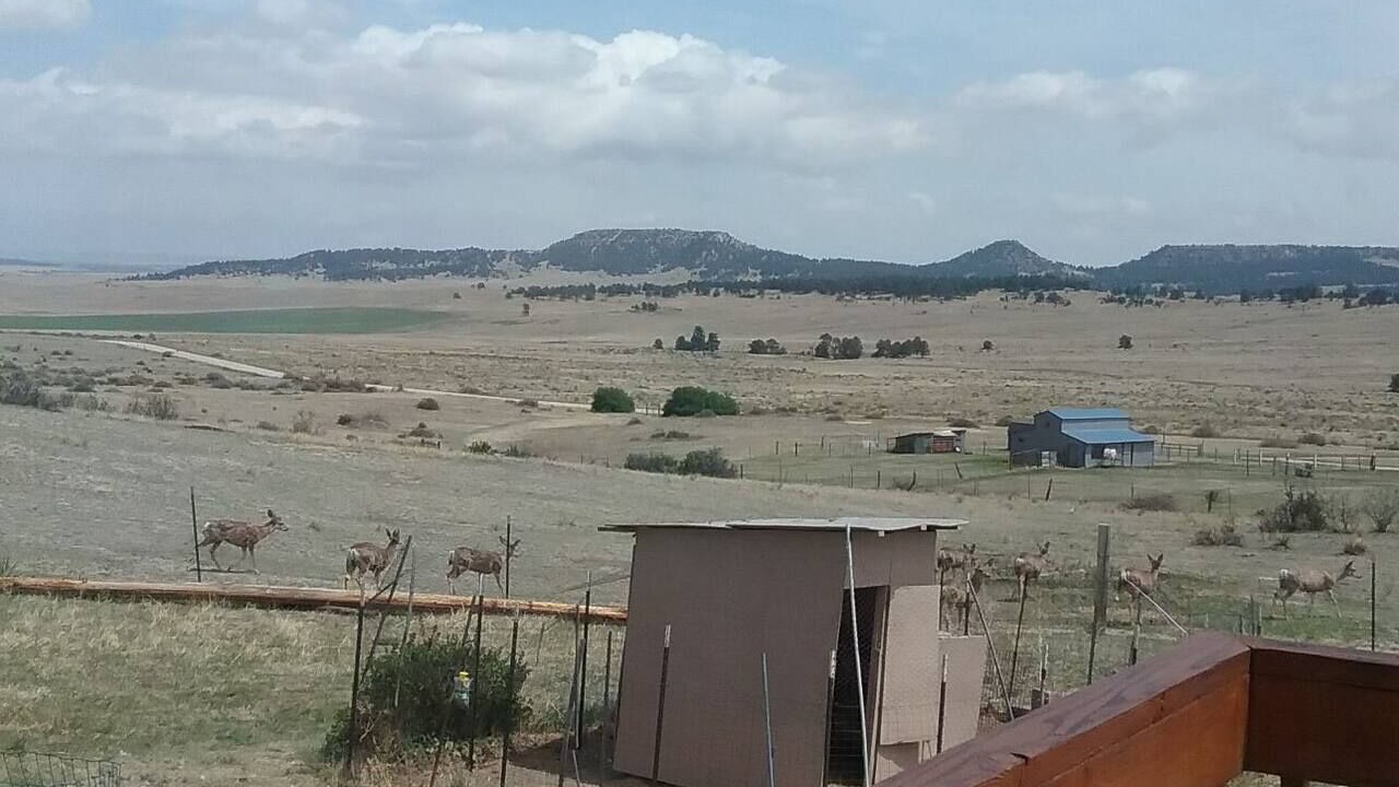 Photo of Outdoor in Peyton
