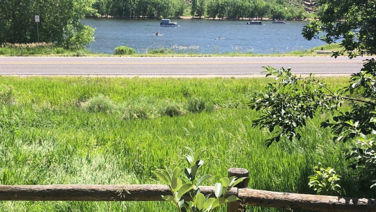 Photo of Others in Fort Collins