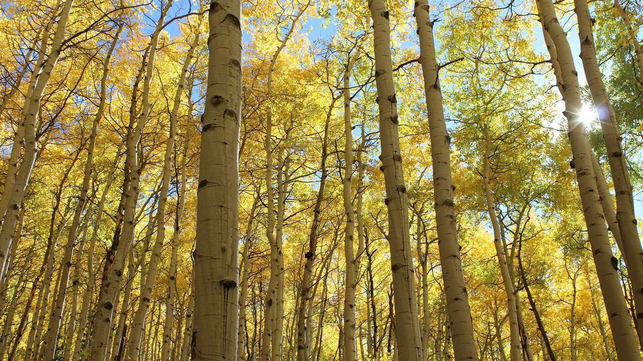 Photo of Outdoor in Lake City