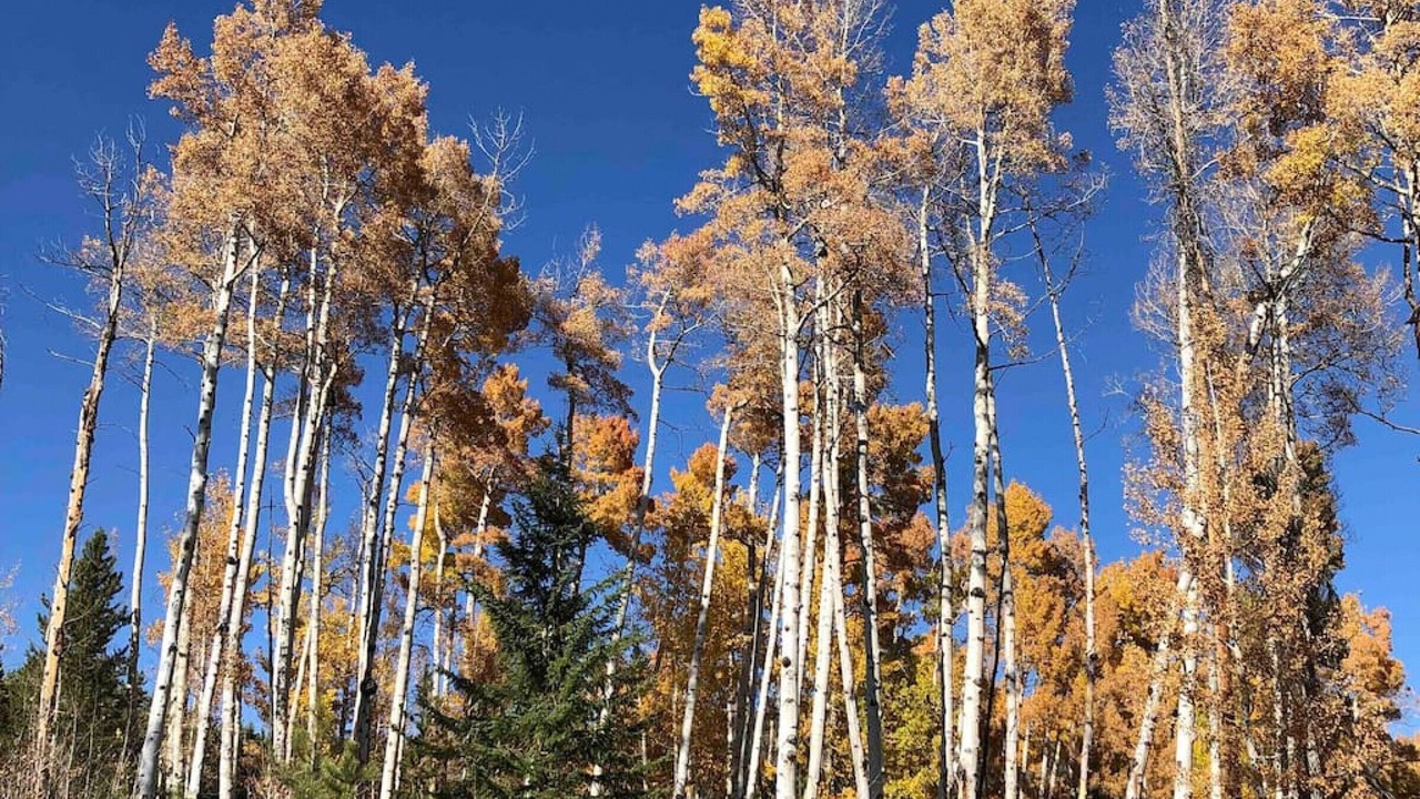 Photo of Outdoor in Grand Lake