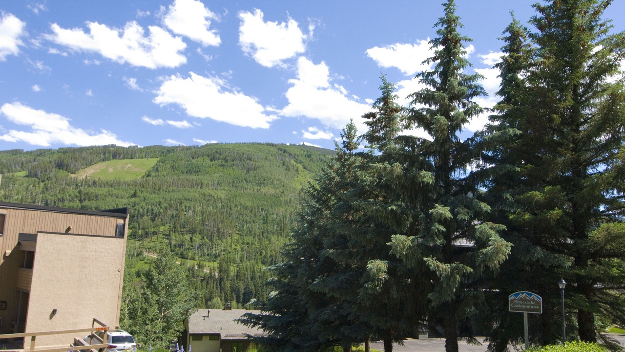 Photo of Others in Vail