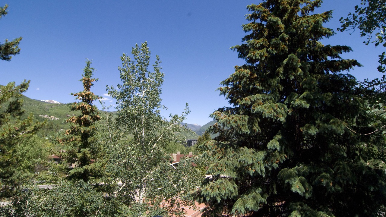 Photo of Others in Vail