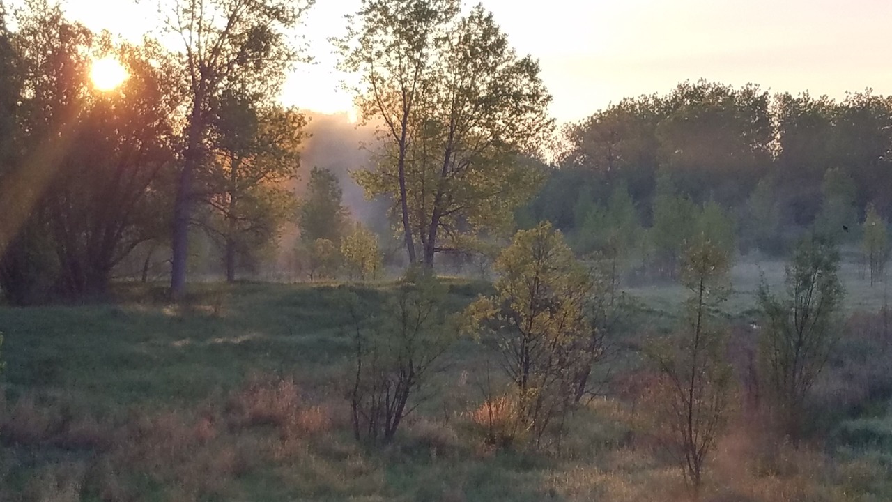 Photo of Outdoor in Fort Collins