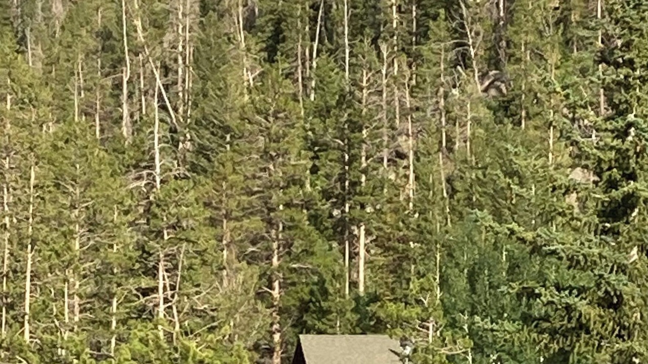 Photo of Others in Crystal Lake