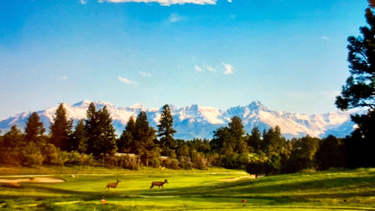 Photo of Others in Loghill Village