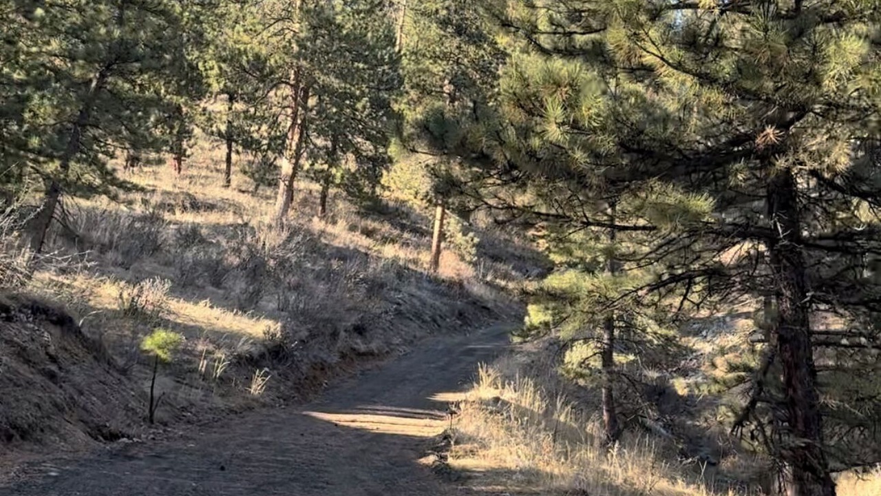 Photo of Others in Evergreen