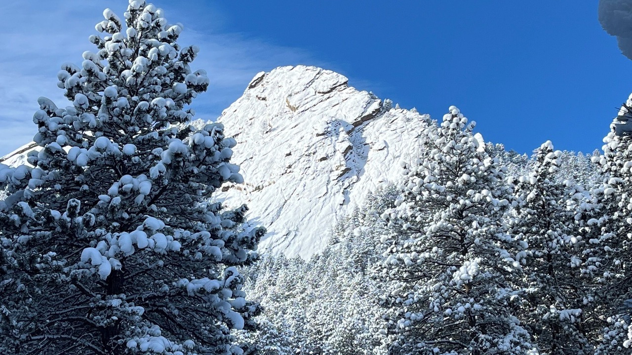 Photo of Others in Longmont