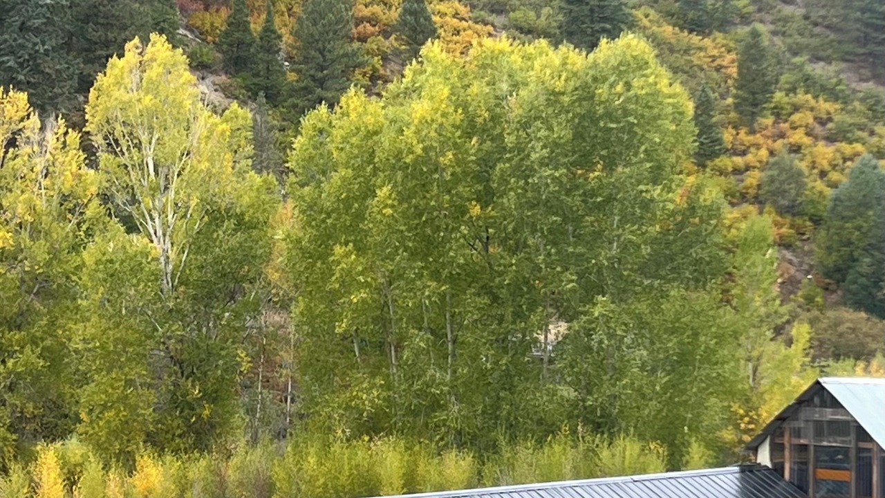Photo of Outdoor in Durango