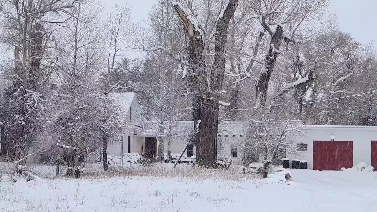 Photo of Others in Red Wing