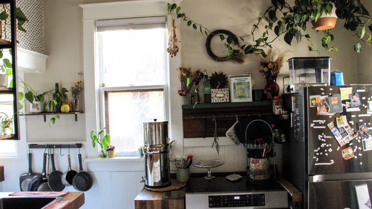 Photo of Kitchen in Washington Park West