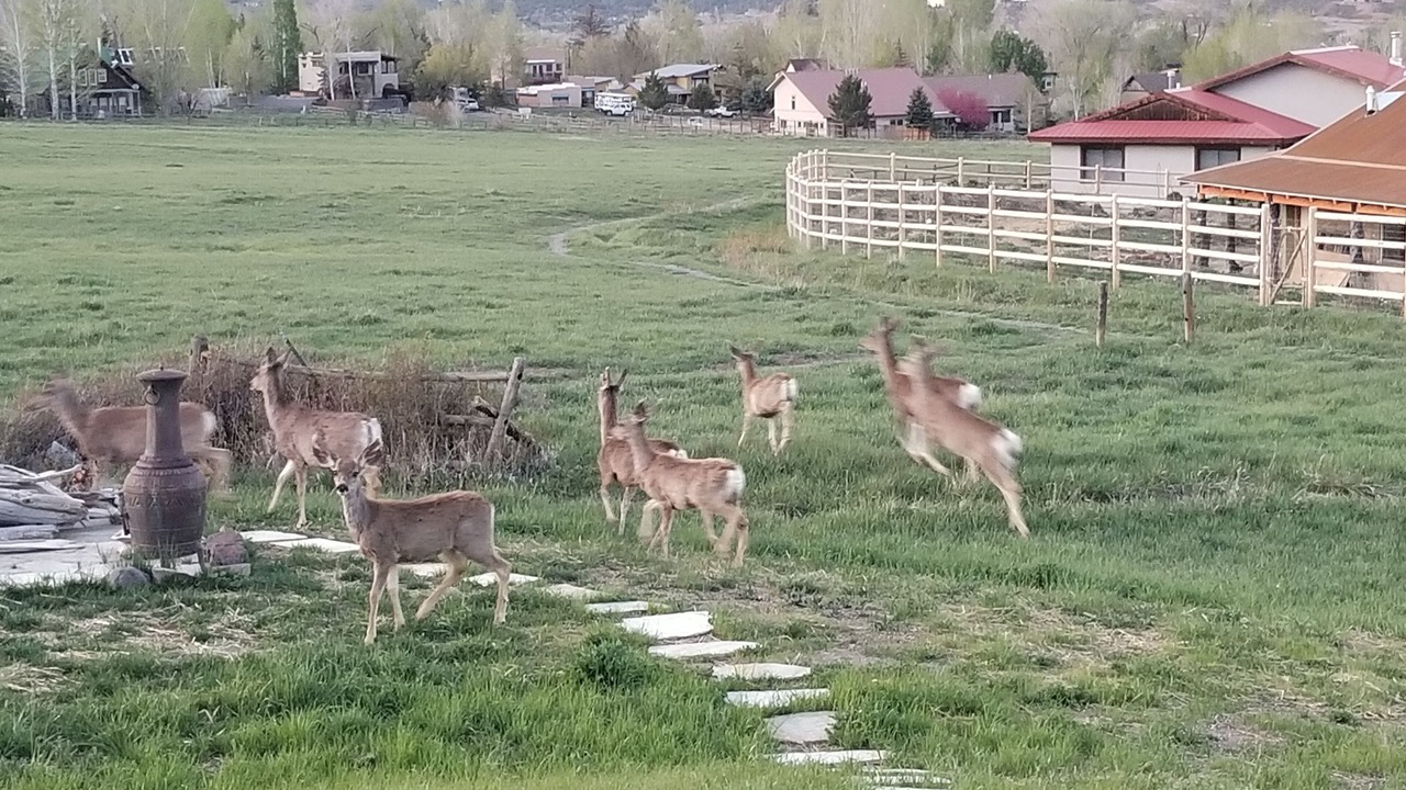 Photo of Others in Ridgway