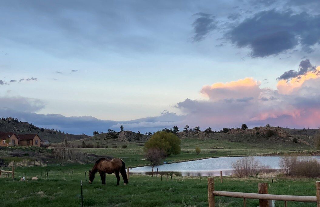 Photo of Others in Livermore