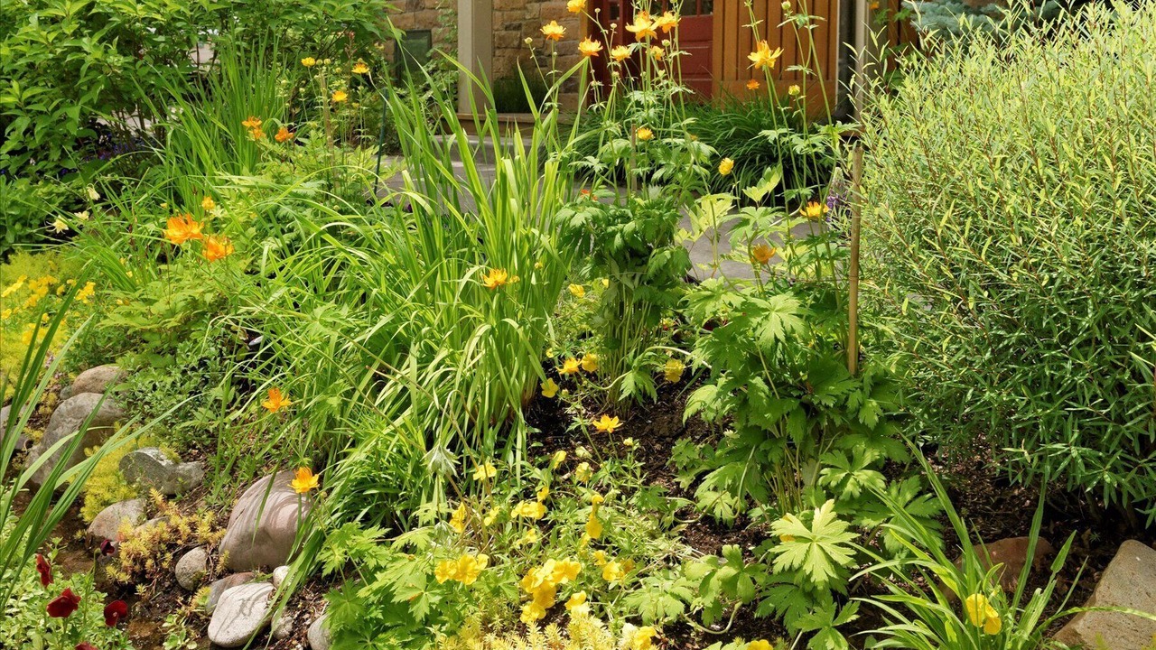 Photo of Outdoor in West End