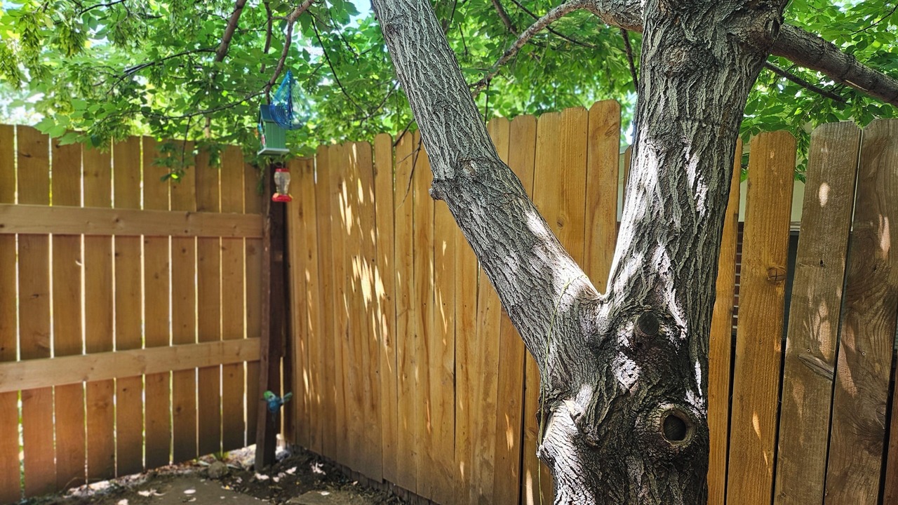 Photo of Outdoor in Littleton