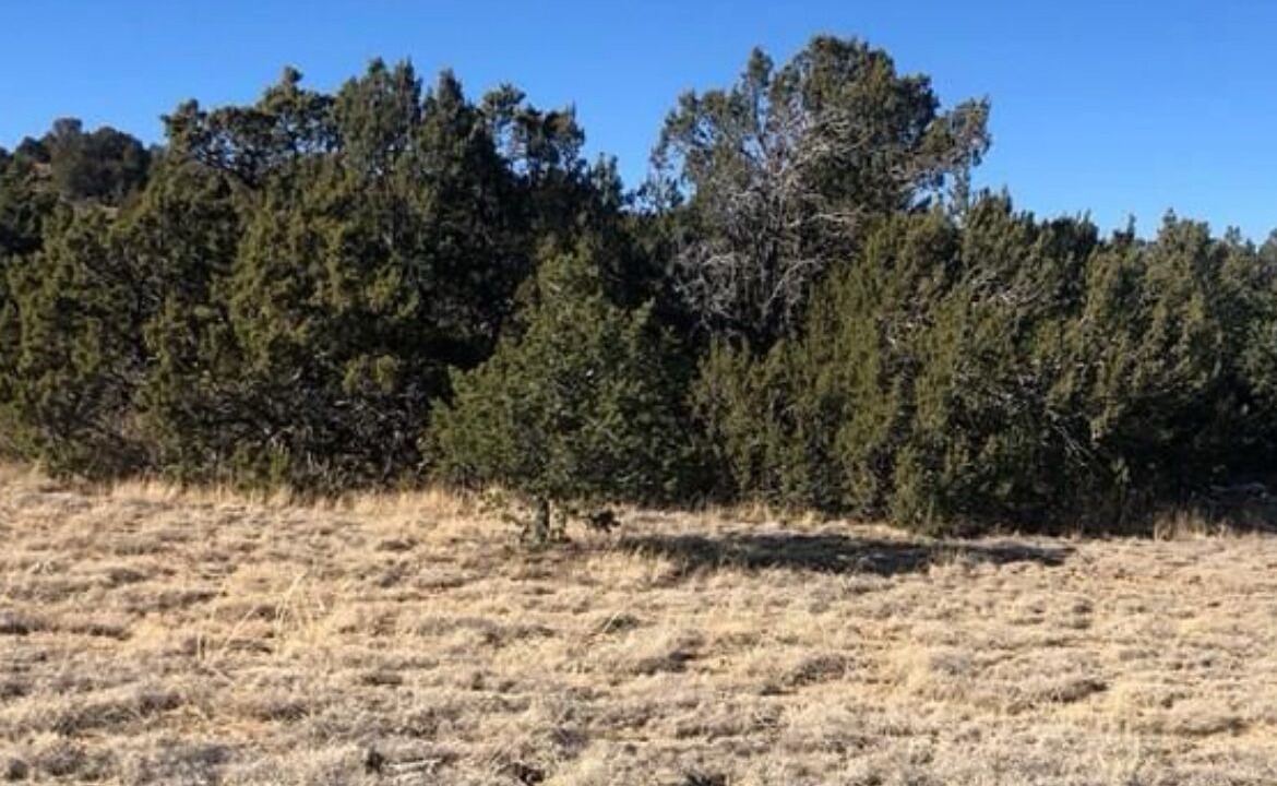 Photo of Others in Walsenburg