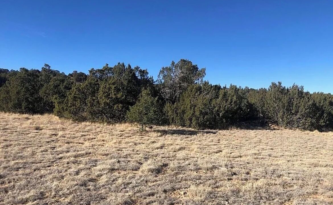 Photo of Others in Walsenburg