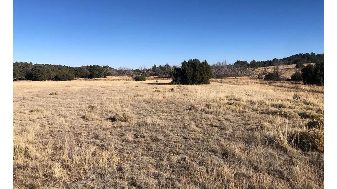 Photo of Others in Walsenburg