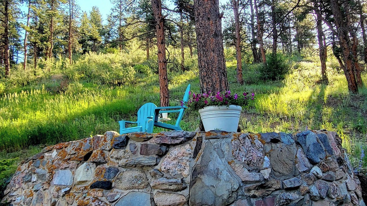 Photo of Outdoor in Drake