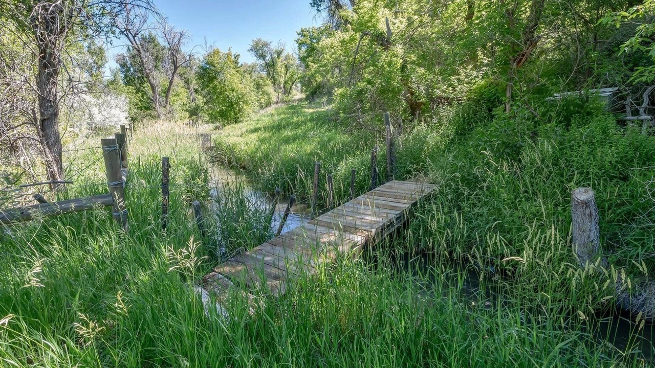Photo of Outdoor in Mesa