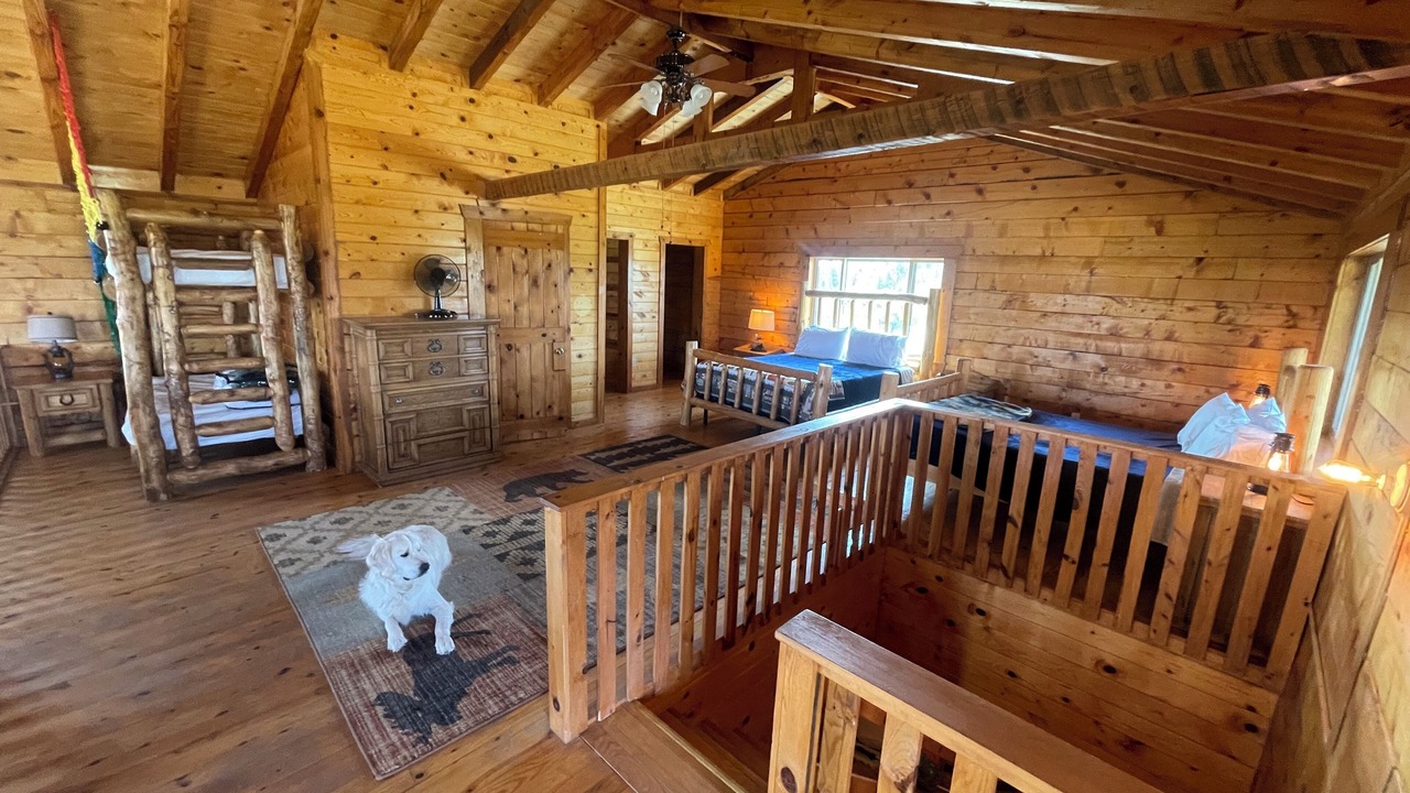 Photo of Bedroom in Gulnare