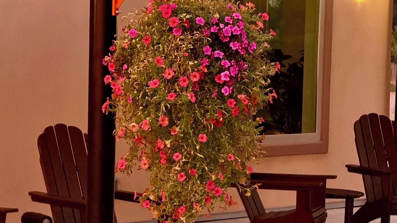 Photo of Patio Balcony in Palisade