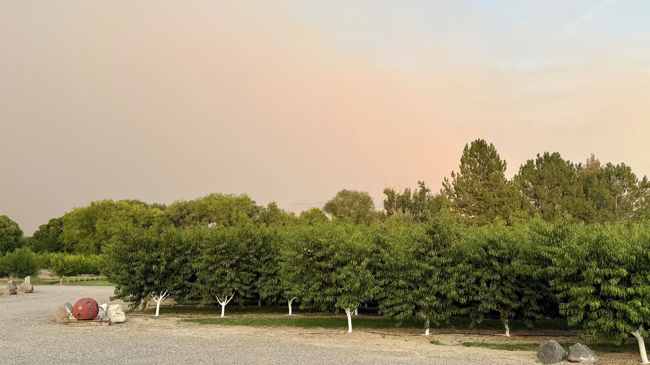 Photo of Others in Palisade
