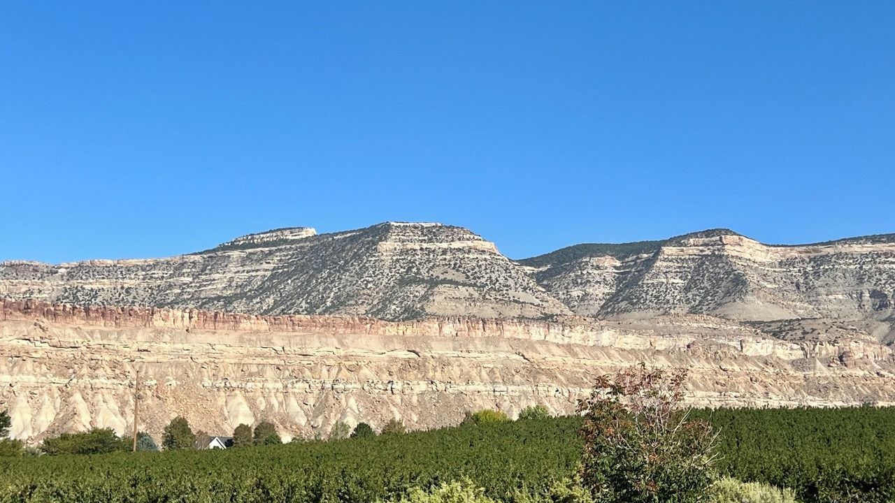 Photo of Others in Palisade