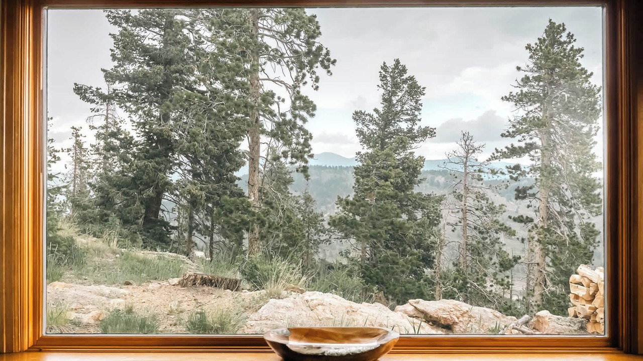 Photo of Others in Evergreen