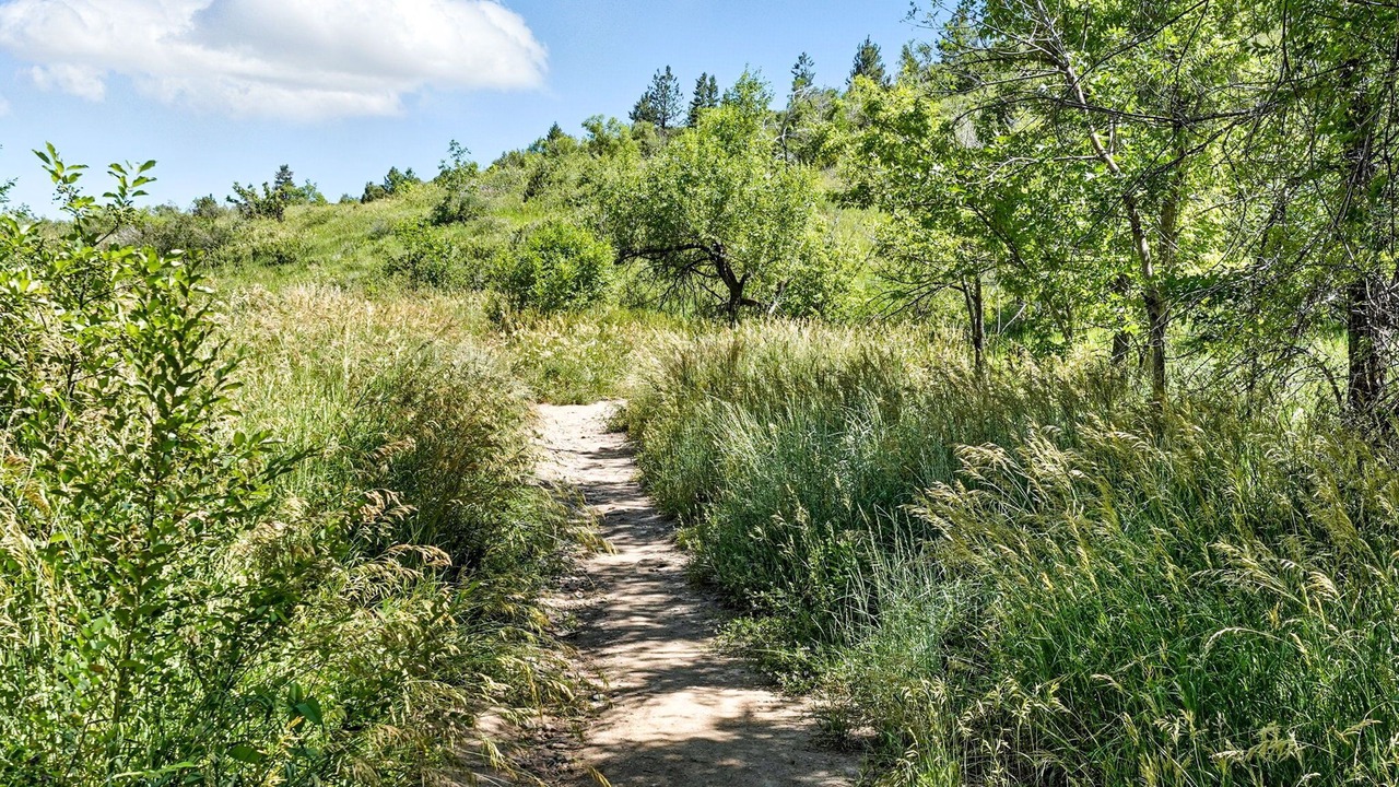 Photo of Others in Lower Arapahoe