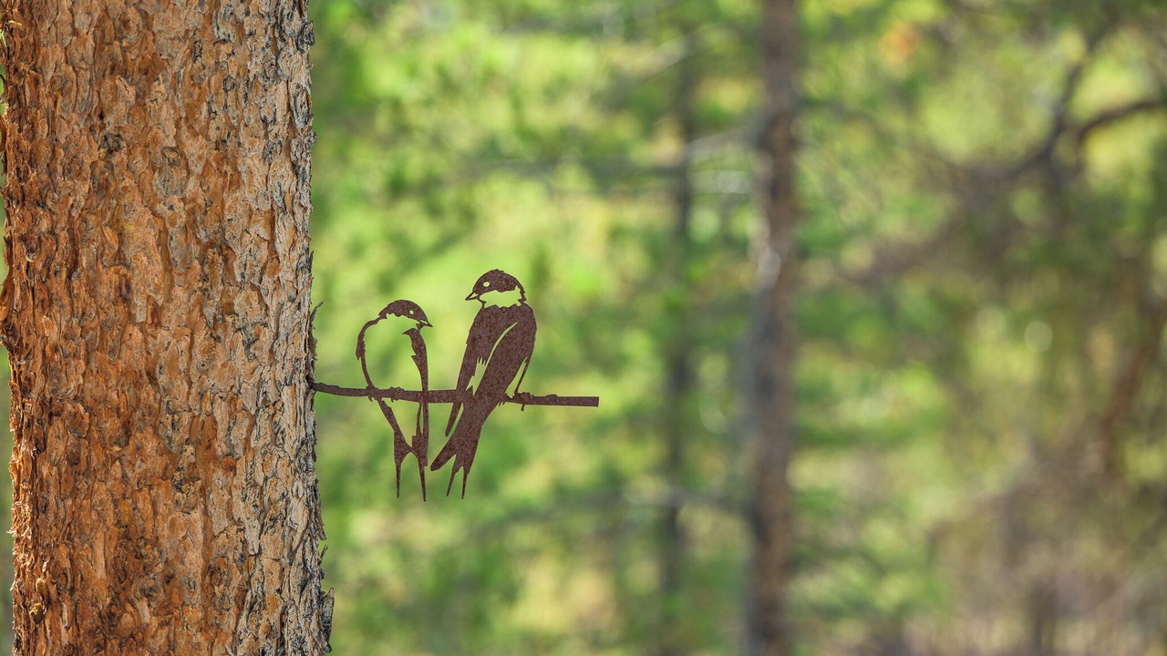 Photo of Outdoor in Twin Lakes