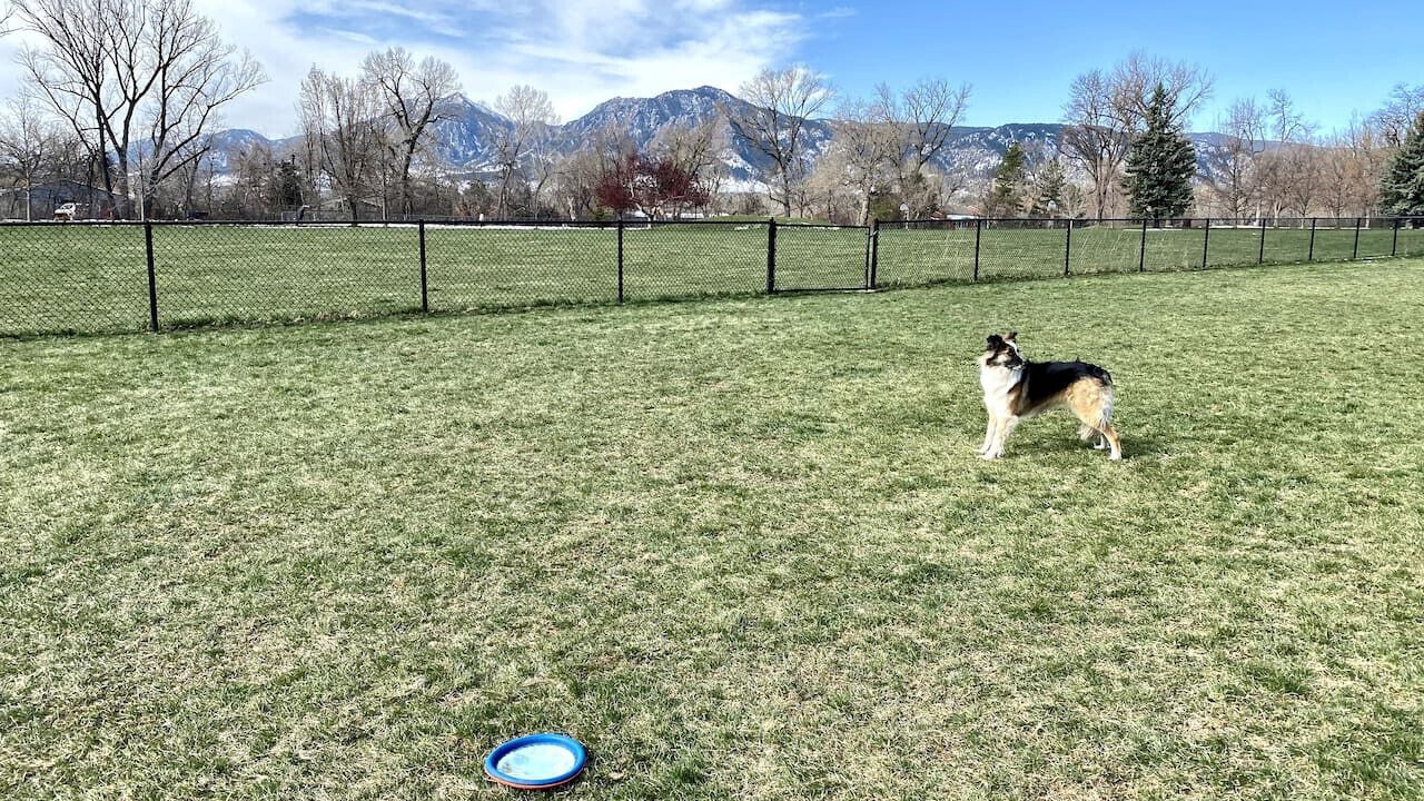 Photo of Outdoor in Glenwood Grove - North Iris