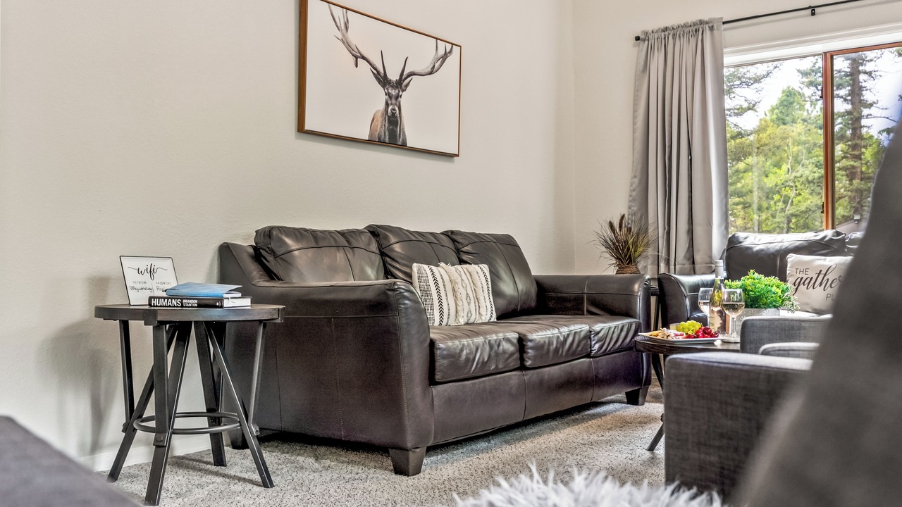 Photo of Livingroom in Divide