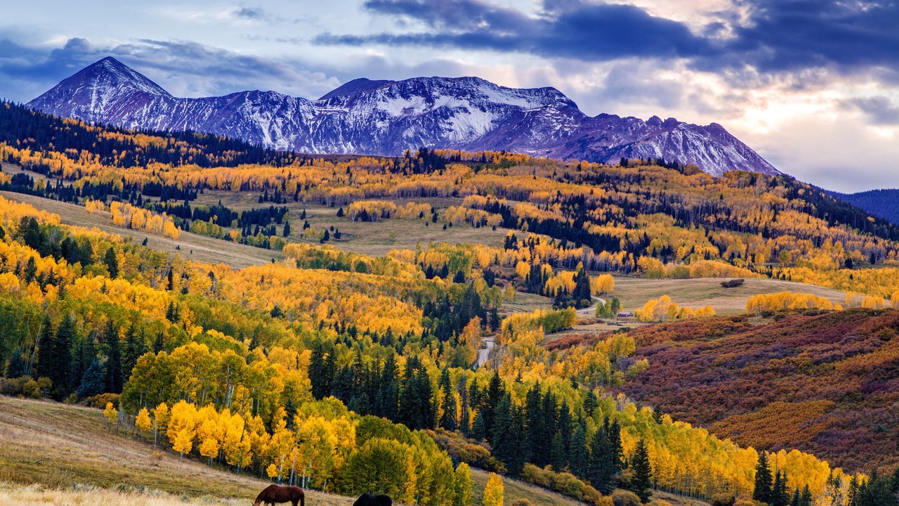 Photo of Others in Elk Meadows